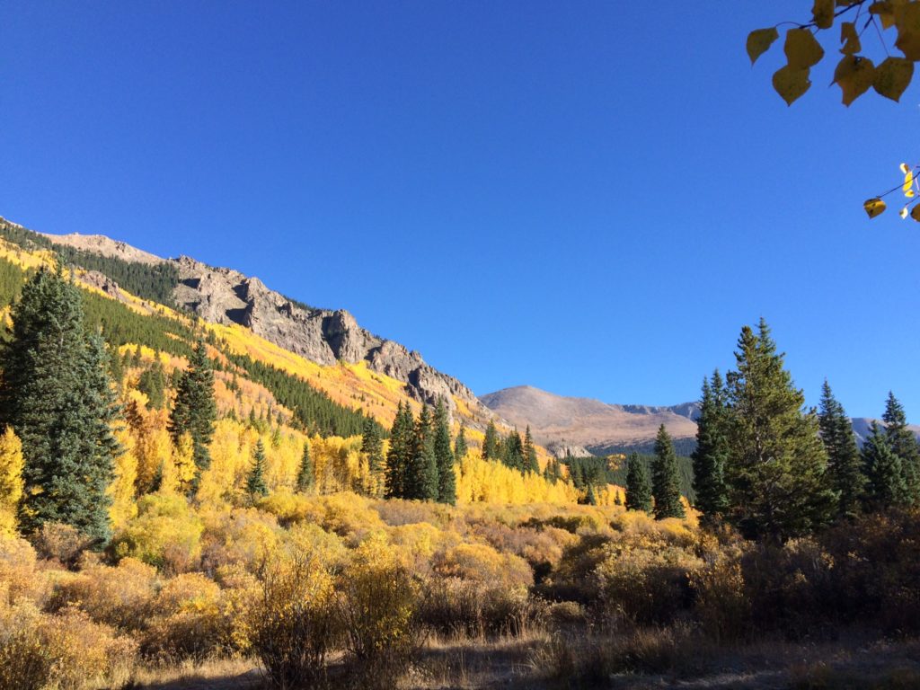 mountain landscape with fall colors